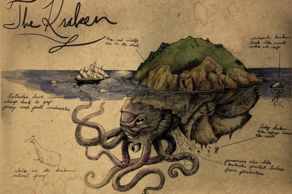 Kraken online