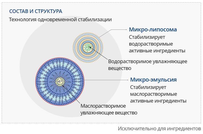 Кракен даркнет ссылка для тор